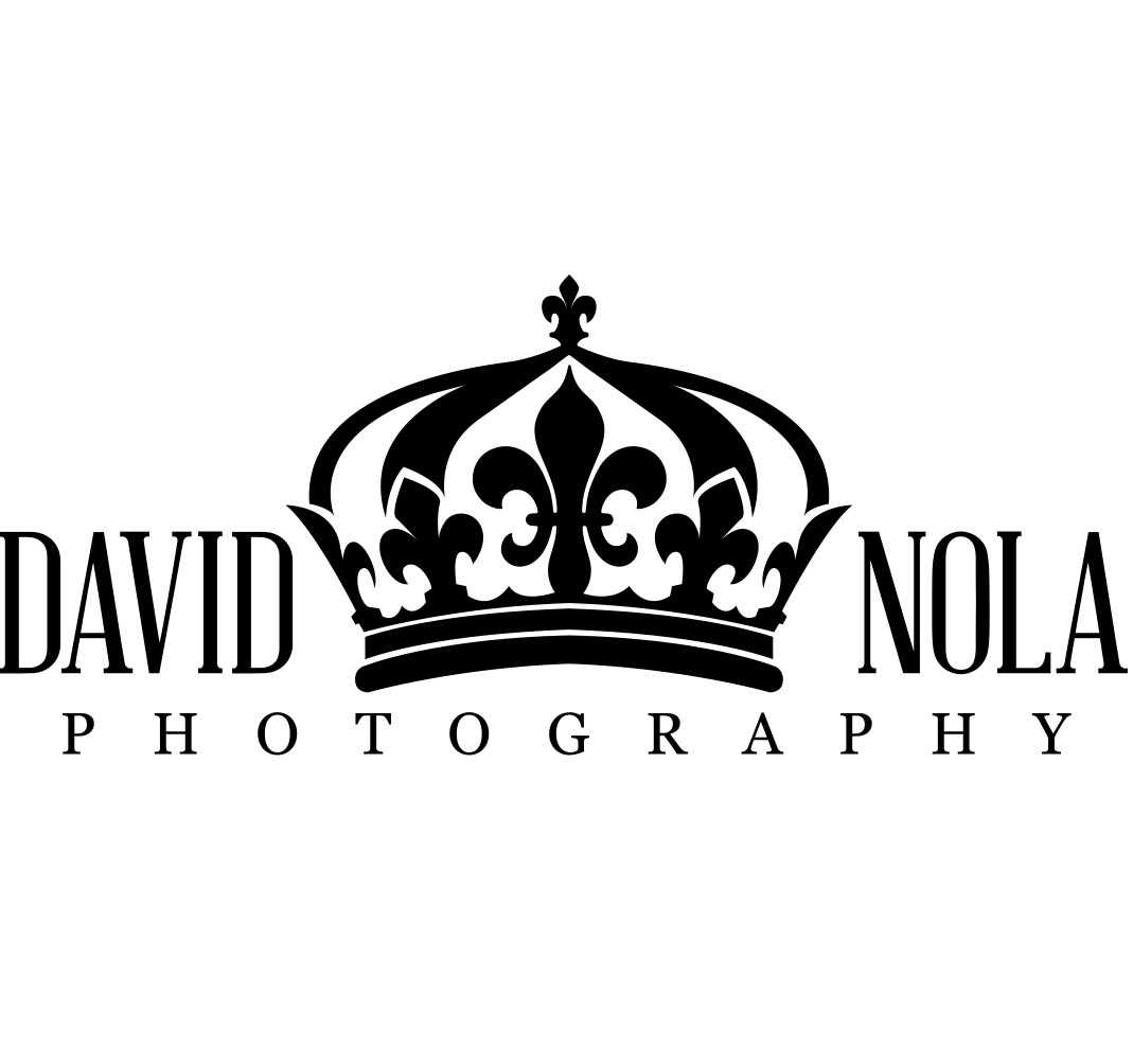 David Nola Photography Logo