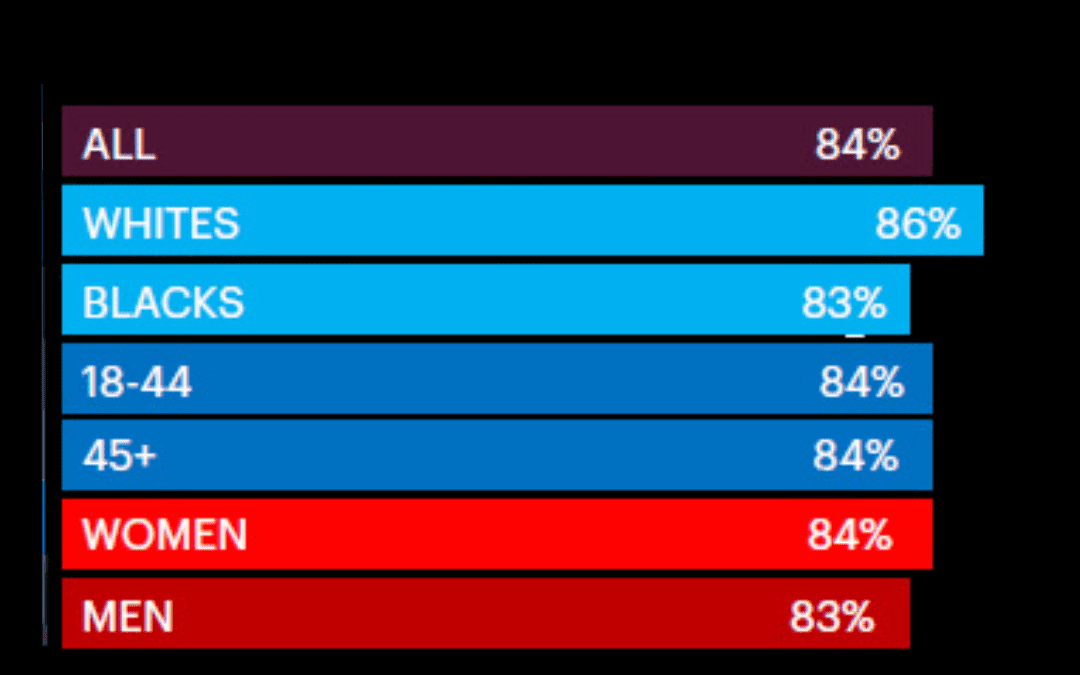 2024 New Orleans Crime Coalition Survey Results