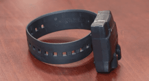 Photo of electronic ankle monitor